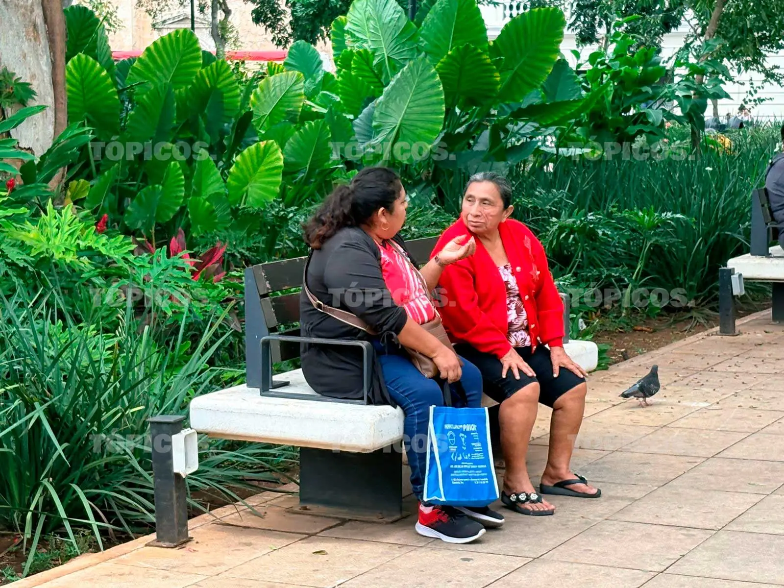 YUCATECOS SACAN ABRIGOS POR “HELADEZ” DEL FRENTE FRÍO 30